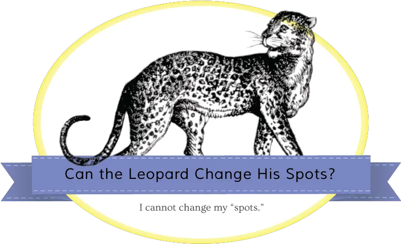 Leopard Spots Png Jaguarbanner Cheetah 827489 Vippng Dot Cheetah Transparent