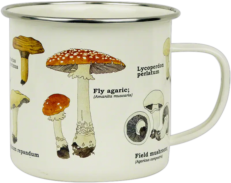 Mushroom Print Enameled Cup Fungi Mushroom Enamel Mug Png Mushroom Transparent