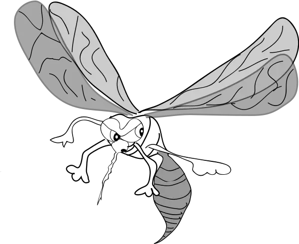 Mosquito Png Clip Arts For Web Mosquito Clip Art Mosquito Png