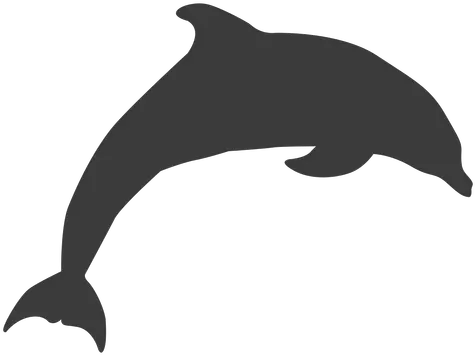 Dolphin Tail Flipper Swimming Dolphin Silhouette Png Dolphin Transparent