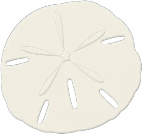 Sand Dollar 01 Graphic Sand Dollar Png Sand Dollar Png