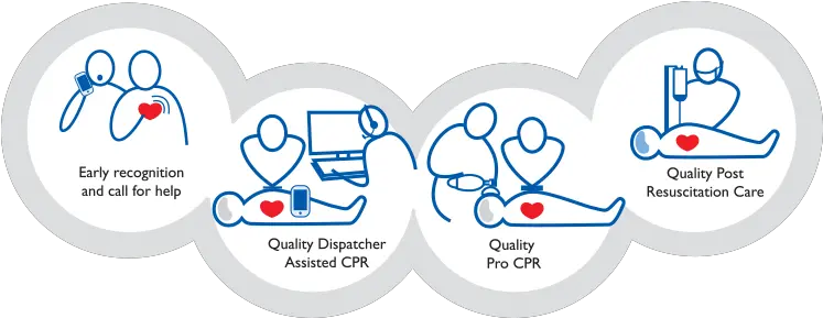 Increasing Survival From Cardiac Arrest Chain Of Survival Transparent Png Survival Png