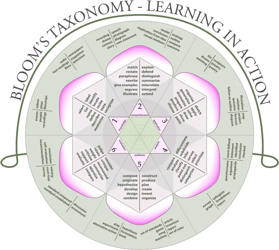 Fileblooms Rosesvg Wikimedia Commons Taxonomy Rose Png Rose Outline Png