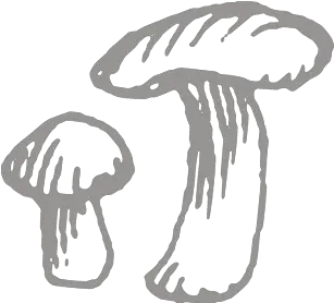 Icon Wild Mushroom Png Mushroom Icon