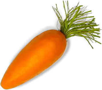 Carrot Transparent Background Single Carrot Png Carrot Transparent Background