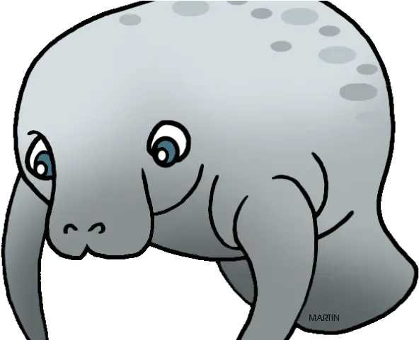 Clipart Transparent Manatee Gif Manatee Clipart Png Manatee Png