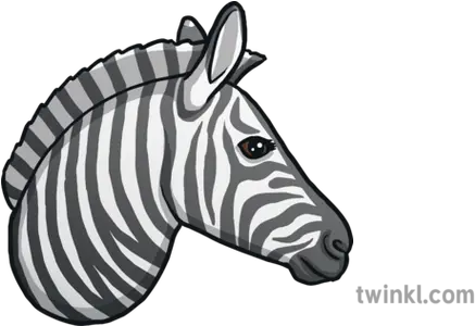 Zebra Emoji Animals Nature Twinkl Zebra Print Png Emoji Animals Png