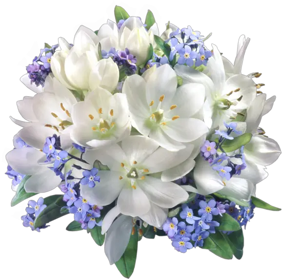 Download Hd 0 White And Blue Flowers Png Transparent Png Flower Composition Png Blue Flowers Png