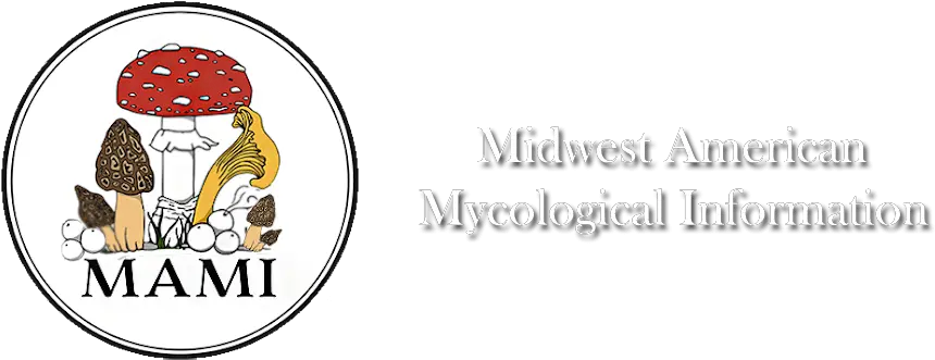 Midwest American Mycological Information U2013 Wild Foraged Png Mushroom Logo