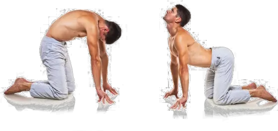Yoga Man Png Hd Mart Stretches For Back Spasms Muscle Man Png