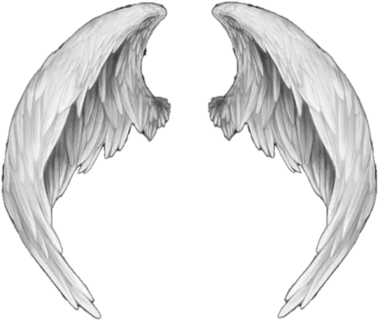 Ali Angelo Png 4 Image White Anime Angel Wings Ali A Png