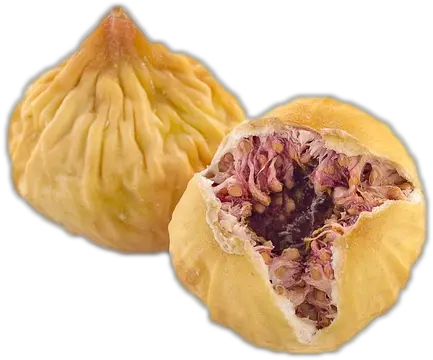 Persian Dried Fig Dried Fig Png Fig Png