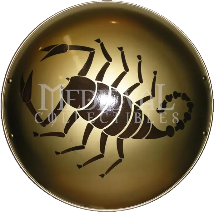 14 Spartan Shield Designs Images Greek Spartan Shield Greek Shield Scorpion Png Medieval Shield Icon