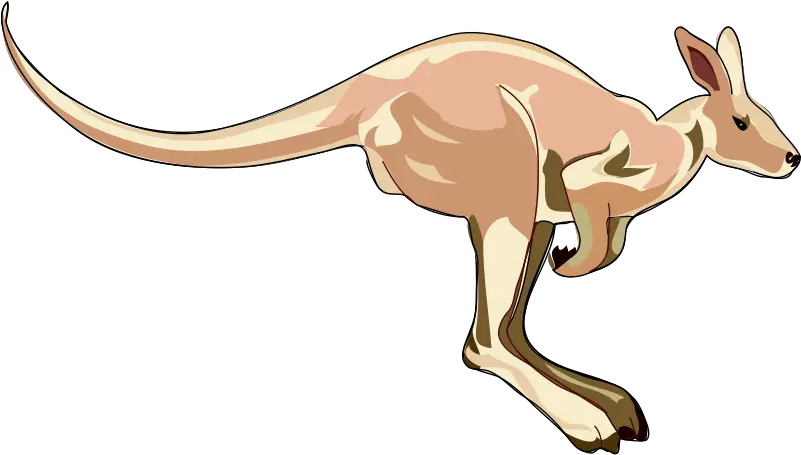 Kangaroo Clipart Png Jpg Library Library Clip Art Royalty Kangaroo Clip Art Kangaroo Transparent Background