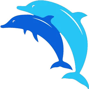 Aqua Divers A Dahab All Inone Scuba Diving Center And Common Bottlenose Dolphin Png Dolphin Browser Icon Png