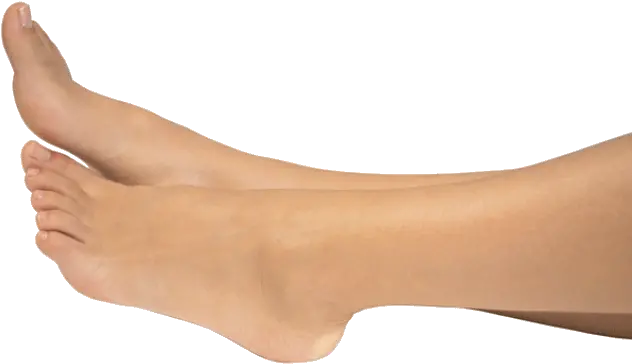 Leg Png Picture Leg And Foot Png Leg Transparent
