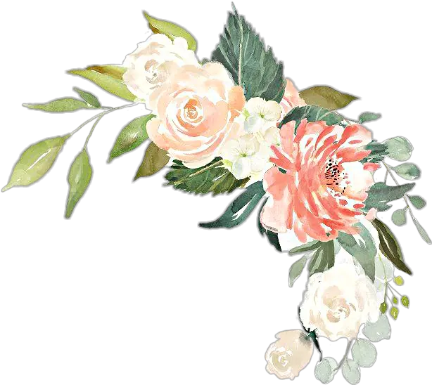 Watercolor Flowers Floral Bouquet Arrangement Blush Pea Cream Rose Watercolor Png Watercolor Flowers Transparent Background