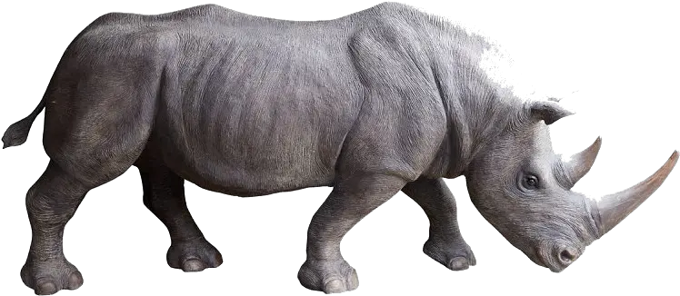 Rhino Png Photo Background