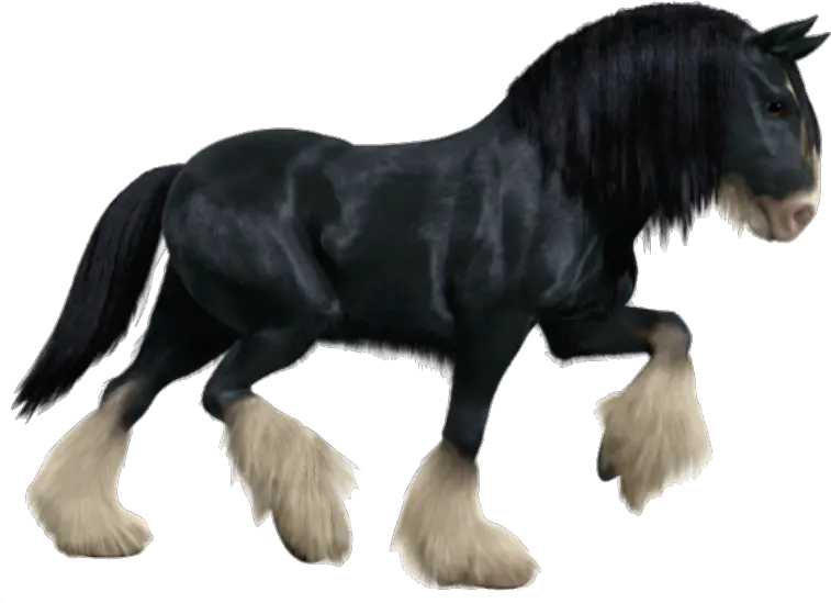 Transparent Black Horse Horse From Brave Transparent Horse Png Brave Png