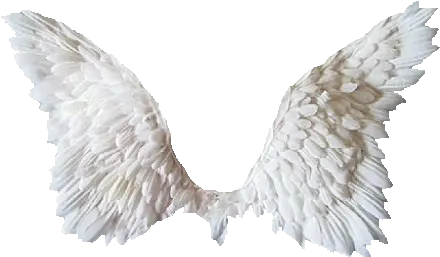 Transparent Angel Wings Ailes D Ange Png Angel Halo Transparent Background