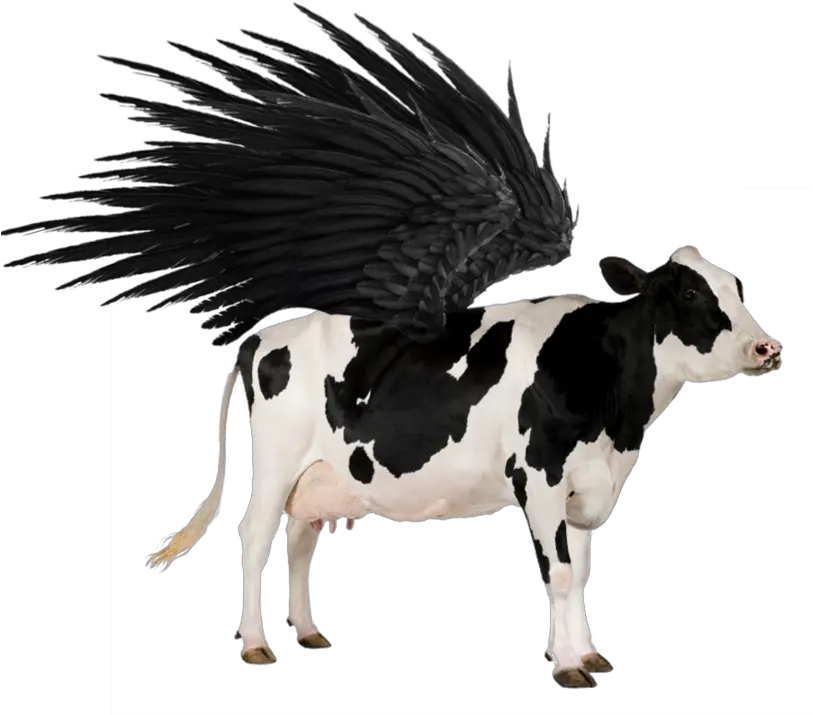Flying Cow Png 5 Image Animal Cow Cow Transparent