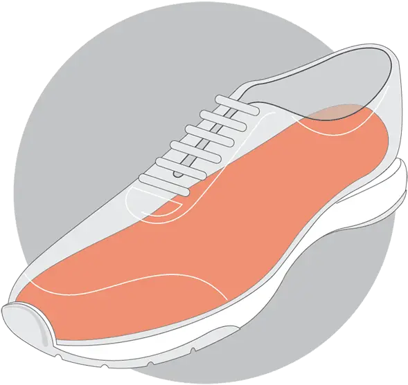 Orthotics Guide Png Icon Orthotics