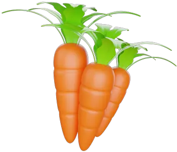 Carrot Icon Download In Colored Outline Style Superfood Png Carrot Icon Vector