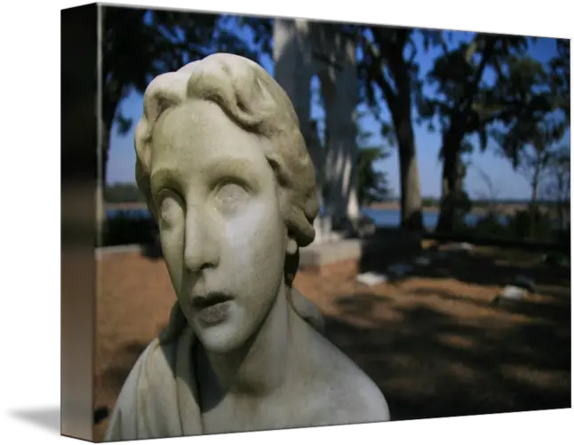 Stone Cold Gaze By Matt Worrell Classical Sculpture Png Stone Cold Png