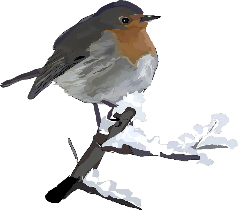 European Robin Transparent Images Png Winter Birds Clip Art Robin Transparent