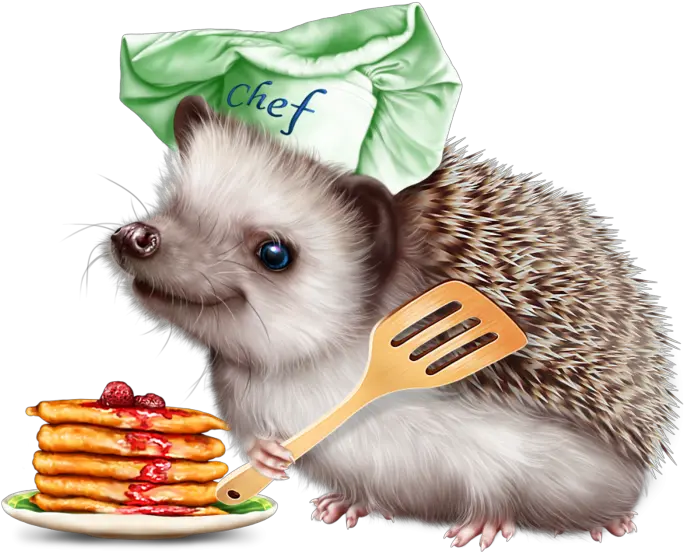 Download 6314590 Hedgehog And Pancakes12 Tube Hedgehog With A Pancake Png Hedgehog Transparent