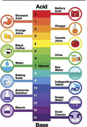 What Is Ph And How To Easily Test It In Your Aquarium Colour Ph Scale With Examples Png Fish Bowl Transparent Background