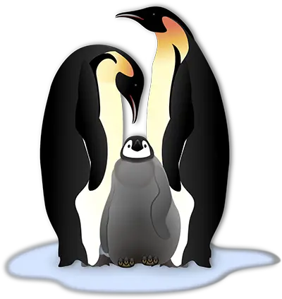 Fun Facts About Penguins Cool Australia Emperor Penguin Clipart Png Penguin Transparent Background
