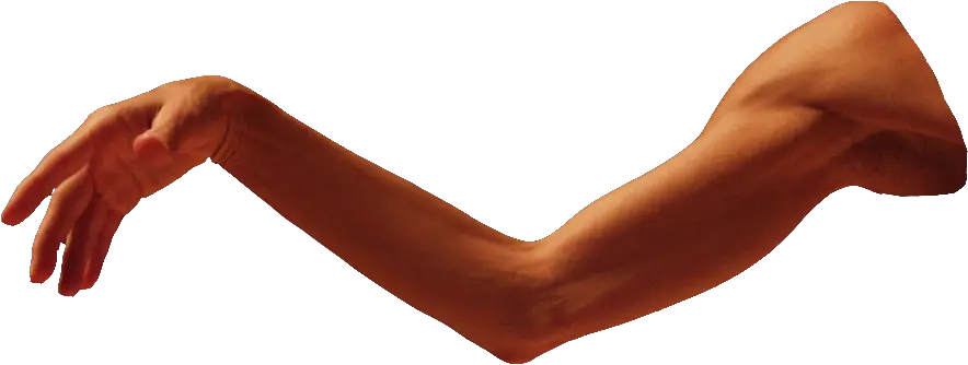 Arm Png Download Image Arm Png Muscle Arm Png