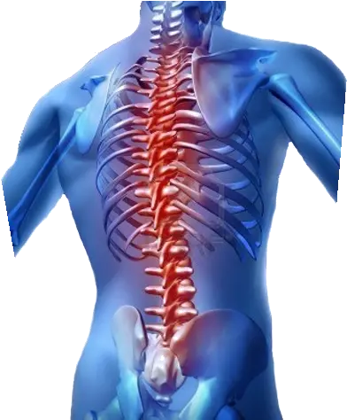 Spine Surgery In Ortho City Hospital Madhaw Market Lanka Spinal Cord Treatment Using Nanotechnology Png Spine Png