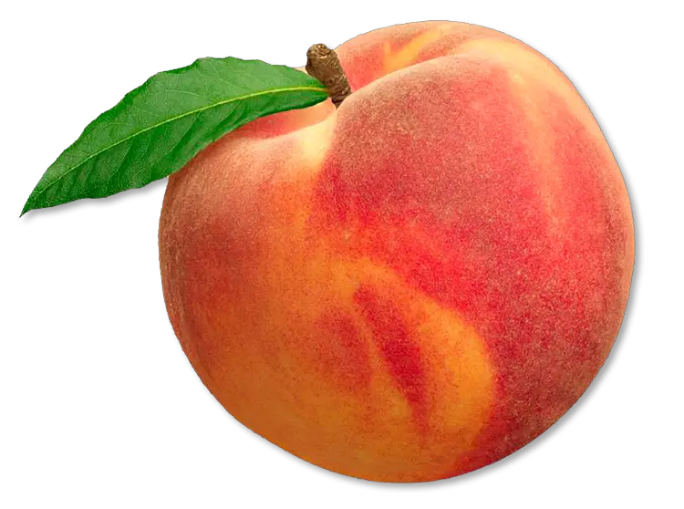 Transparent Peach Png Peach Fruit Peach Transparent Background
