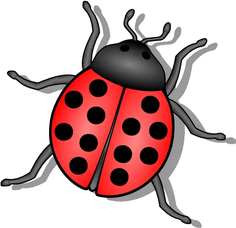 Download Bug Png 6 Hq Image Ladybug Black And White Bugs Png