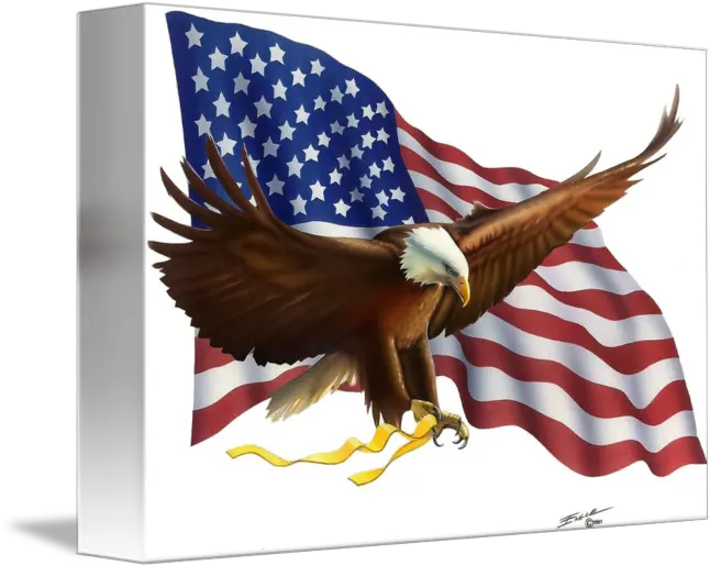 Eagle With Flag No Background By Bob Engle American Eagles Png Eagle Transparent Background