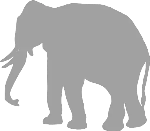 Elephant Icons Icon Png Elephant Icon