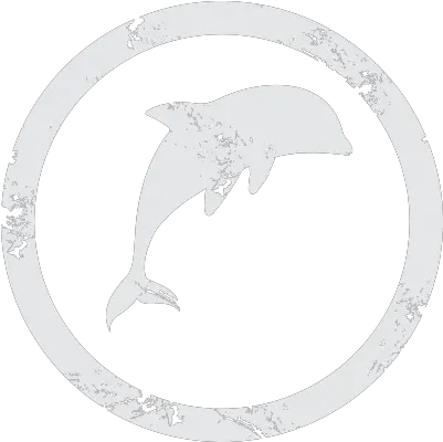 Icon Fish Png Dolphin Icon