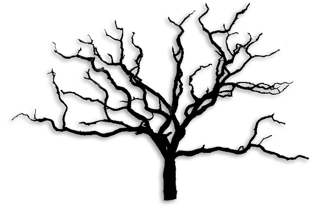 Arbre Sans Feuille Png Images Black And White Dead Trees Sans Png