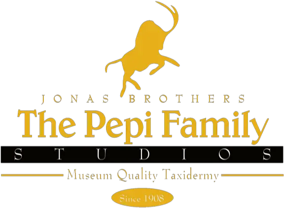 Jonas Brothers Studios Of Ny Language Png Jonas Brothers Logo