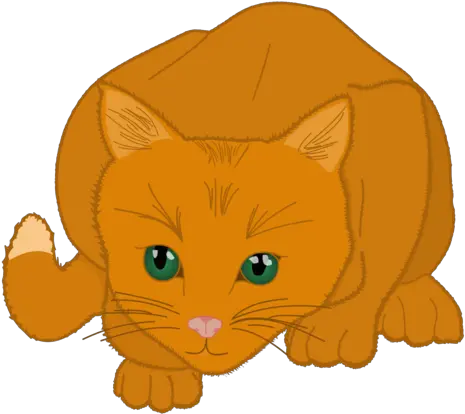 Domestic Short Haired Catbig Catslion Png Clipart Soft Lion Cartoon Png