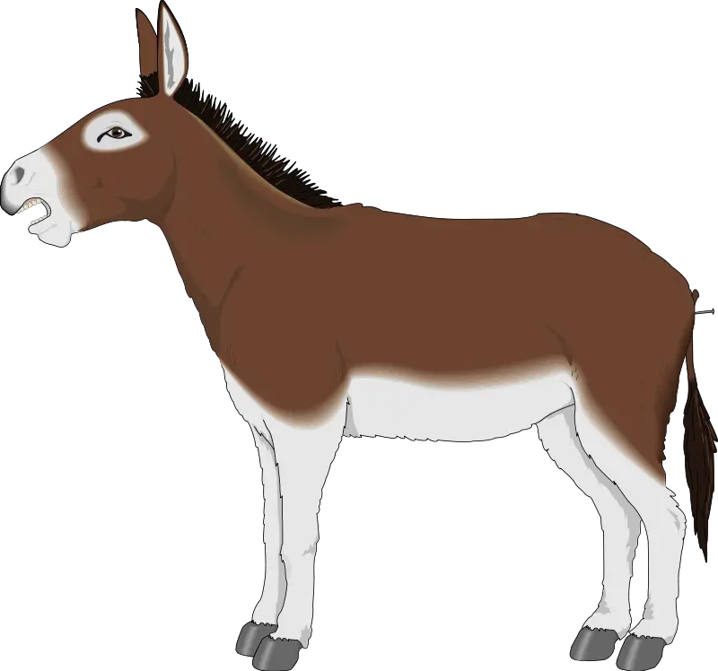 Png Mule Transparent Mulepng Images Pluspng Cartoon Donkey Clipart Donkey Png