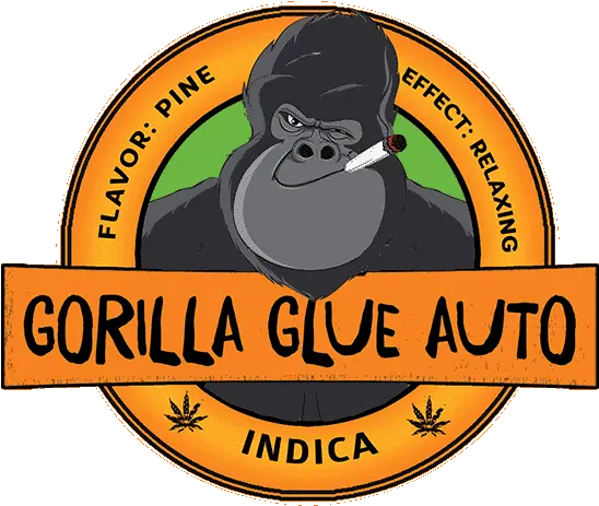 Peps Solar Eclipse 450 Lights Up Some Big Png Gorilla Glue Logo