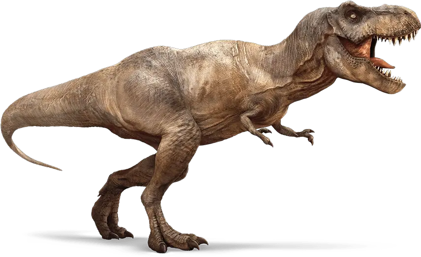 Download Free Png Image Trex 2png Jurassic Park Wiki T Rex Dinosaur Png