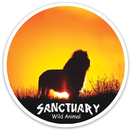 Sanctuary Round Lion Magnet Wildanimalsanctuary Dota Hero Png Lion Silhouette Png