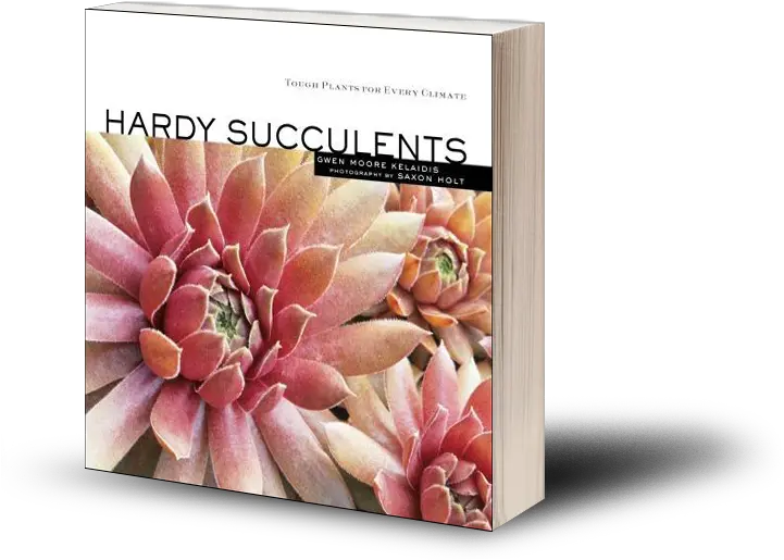 Download Hd 95 Add To Cart Hardy Succulents Tough Plants Hardy Tough Plants For Every Climate Png Succulents Png