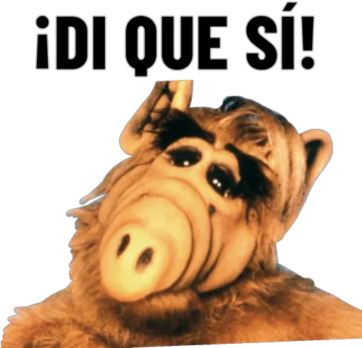 Alf Alf Wallpaper Hd Png Alf Png