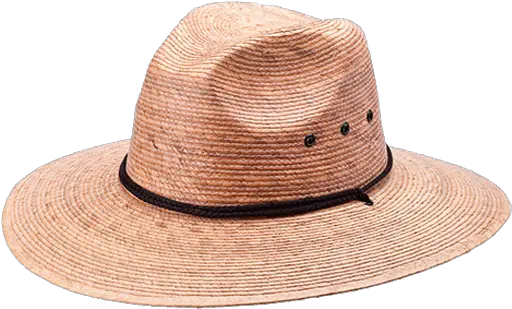 Nautica Palm Straw Hat Peter Grimm Png Straw Hat Transparent