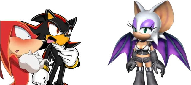 Download Hd Knuckles And Shadow See Rouge Shadow X Rouge Knuckles Rouge And Shadow Png Uganda Knuckles Png